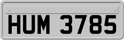 HUM3785