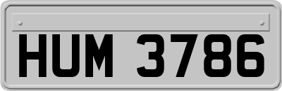 HUM3786