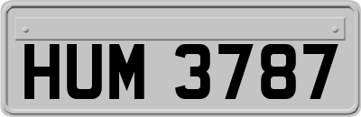 HUM3787