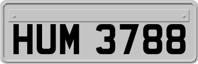 HUM3788