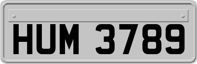 HUM3789