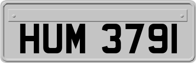 HUM3791