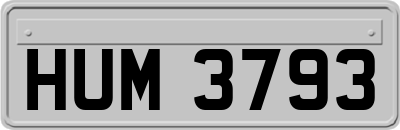 HUM3793