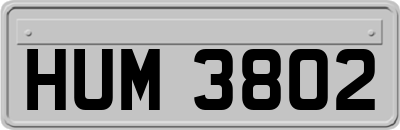 HUM3802