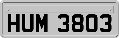 HUM3803