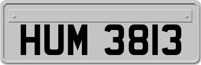 HUM3813