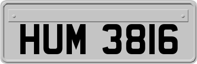 HUM3816