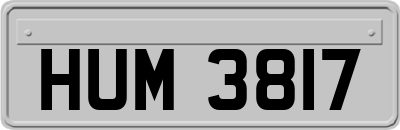 HUM3817