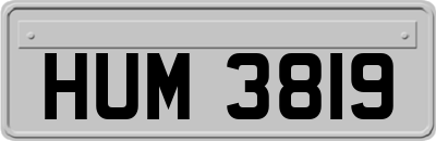 HUM3819