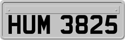 HUM3825