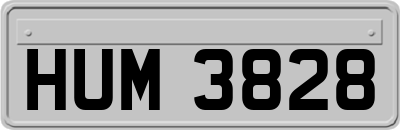 HUM3828