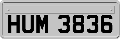 HUM3836