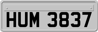 HUM3837