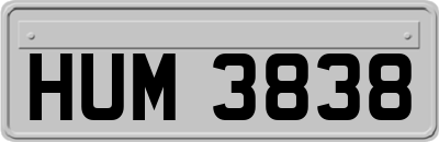 HUM3838