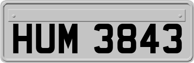 HUM3843