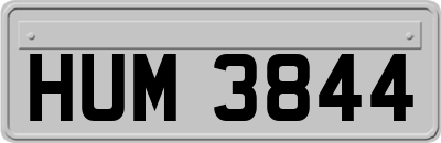 HUM3844