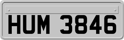 HUM3846