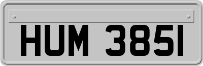 HUM3851