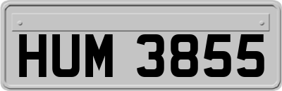 HUM3855