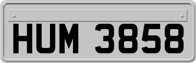 HUM3858