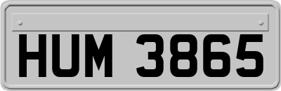 HUM3865