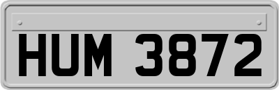 HUM3872