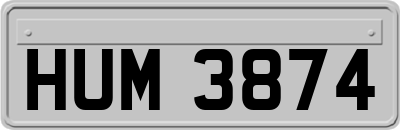 HUM3874