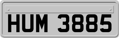 HUM3885