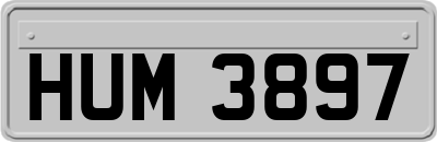 HUM3897