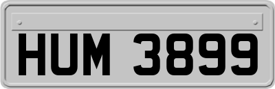 HUM3899