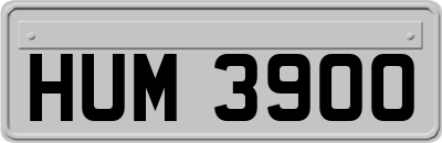 HUM3900