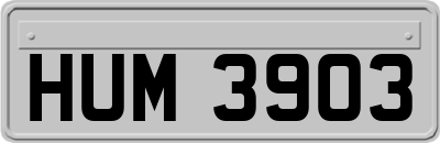 HUM3903