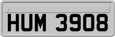 HUM3908