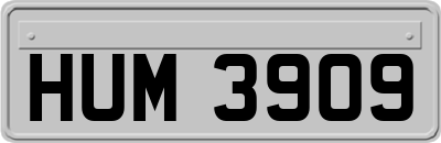 HUM3909