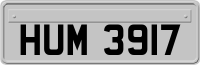 HUM3917