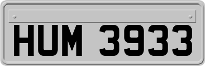 HUM3933