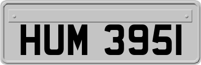 HUM3951