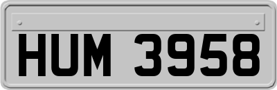 HUM3958