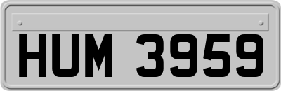 HUM3959