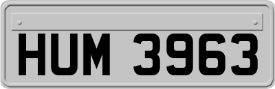 HUM3963