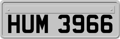 HUM3966