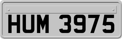 HUM3975