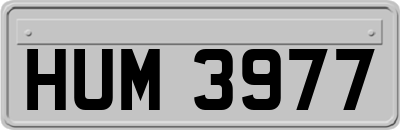 HUM3977