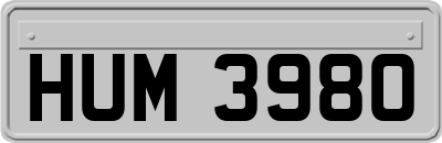 HUM3980