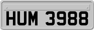 HUM3988