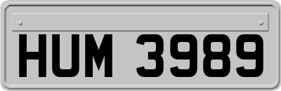 HUM3989