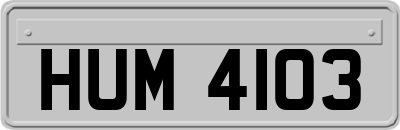 HUM4103