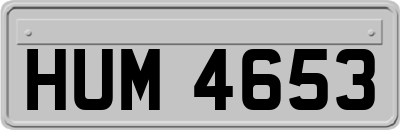 HUM4653