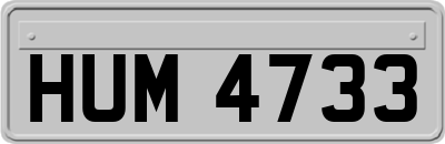 HUM4733