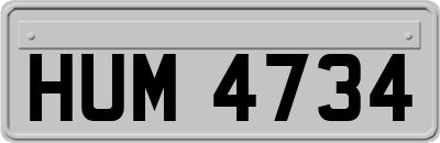 HUM4734